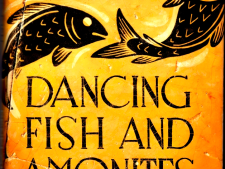 Dancing Fish And Ammonites For Sale