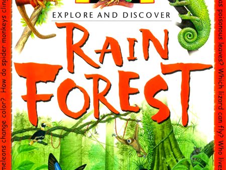 Rain Forest on Sale