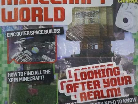 Minecraft World For Sale