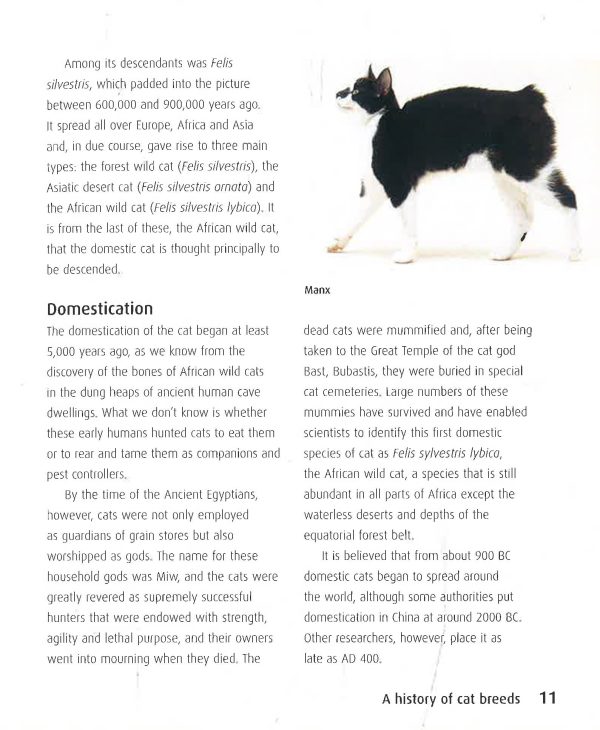 Cat Breeds: Facts, Figures, and Profiles of Over 80 Breeds on Sale