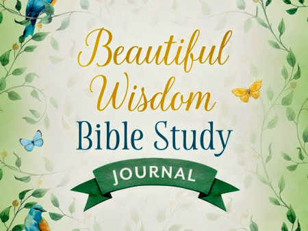 Beautiful Wisdom Bible Study Journal on Sale